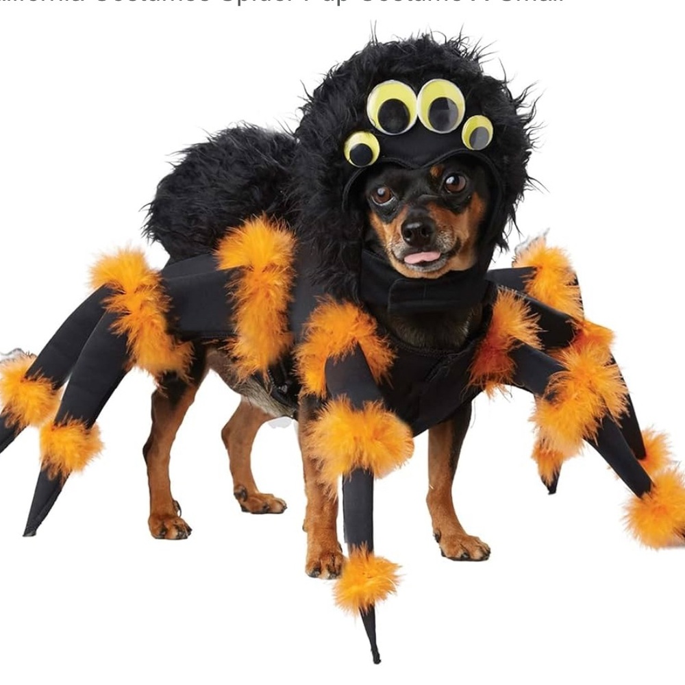 Dog Halloween Spider Costume XL